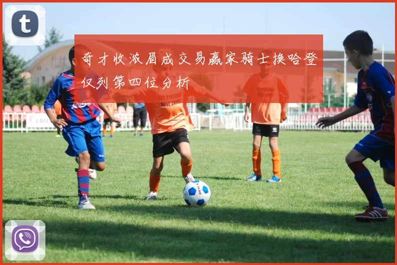 奇才收浓眉成交易赢家骑士换哈登仅列第四位分析
