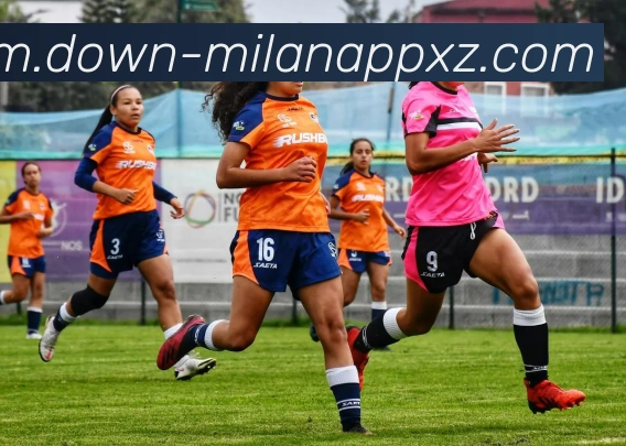 米兰体育平台生态图