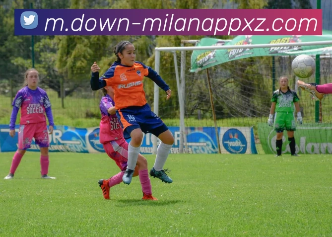 米兰体育APP 封面图